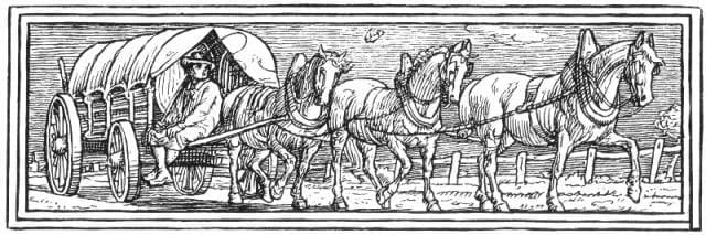 Horse-Pattern