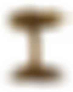 corpse cactus (reduced)