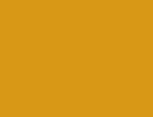 AAW-goldenDentures-color-01