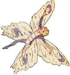 butterfly-fairies-5