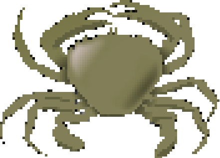rolling crab