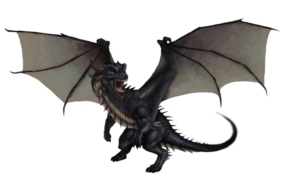 remember when haunt - dragon_black__forrest_imel