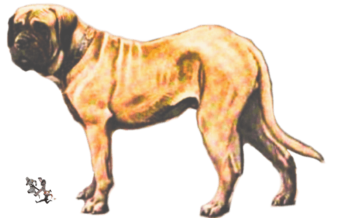 Enormous Hunting Dog